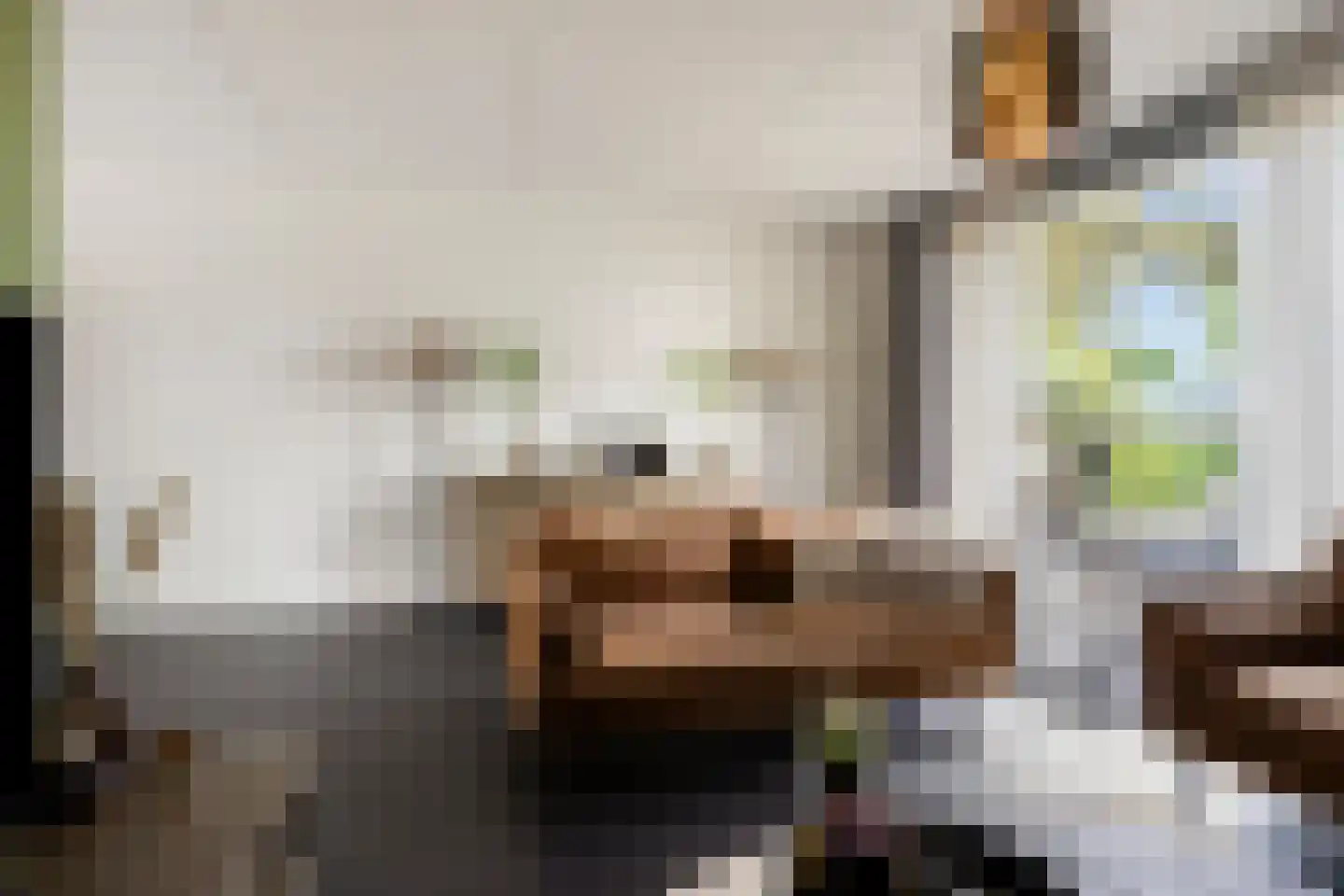 Goudreinet 20 Fijnaart thumbnail 14