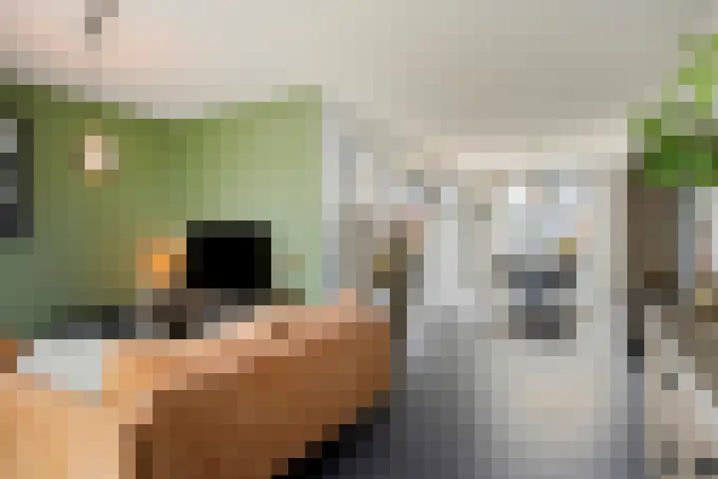 Goudreinet 20 Fijnaart thumbnail 16