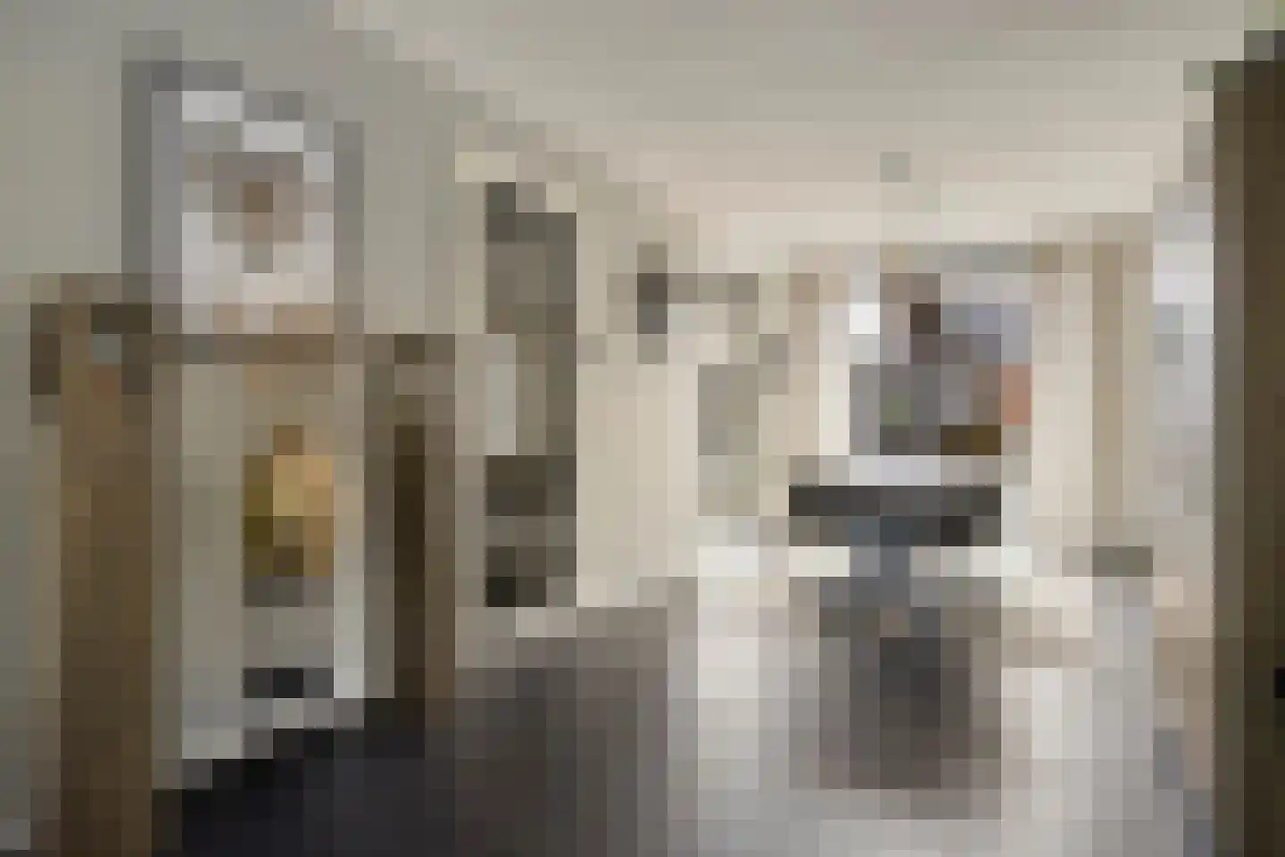 Goudreinet 20 Fijnaart thumbnail 17