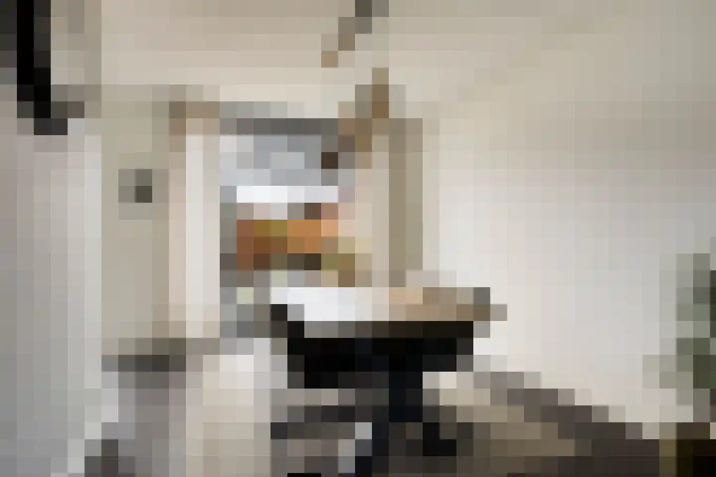 Goudreinet 20 Fijnaart thumbnail 18