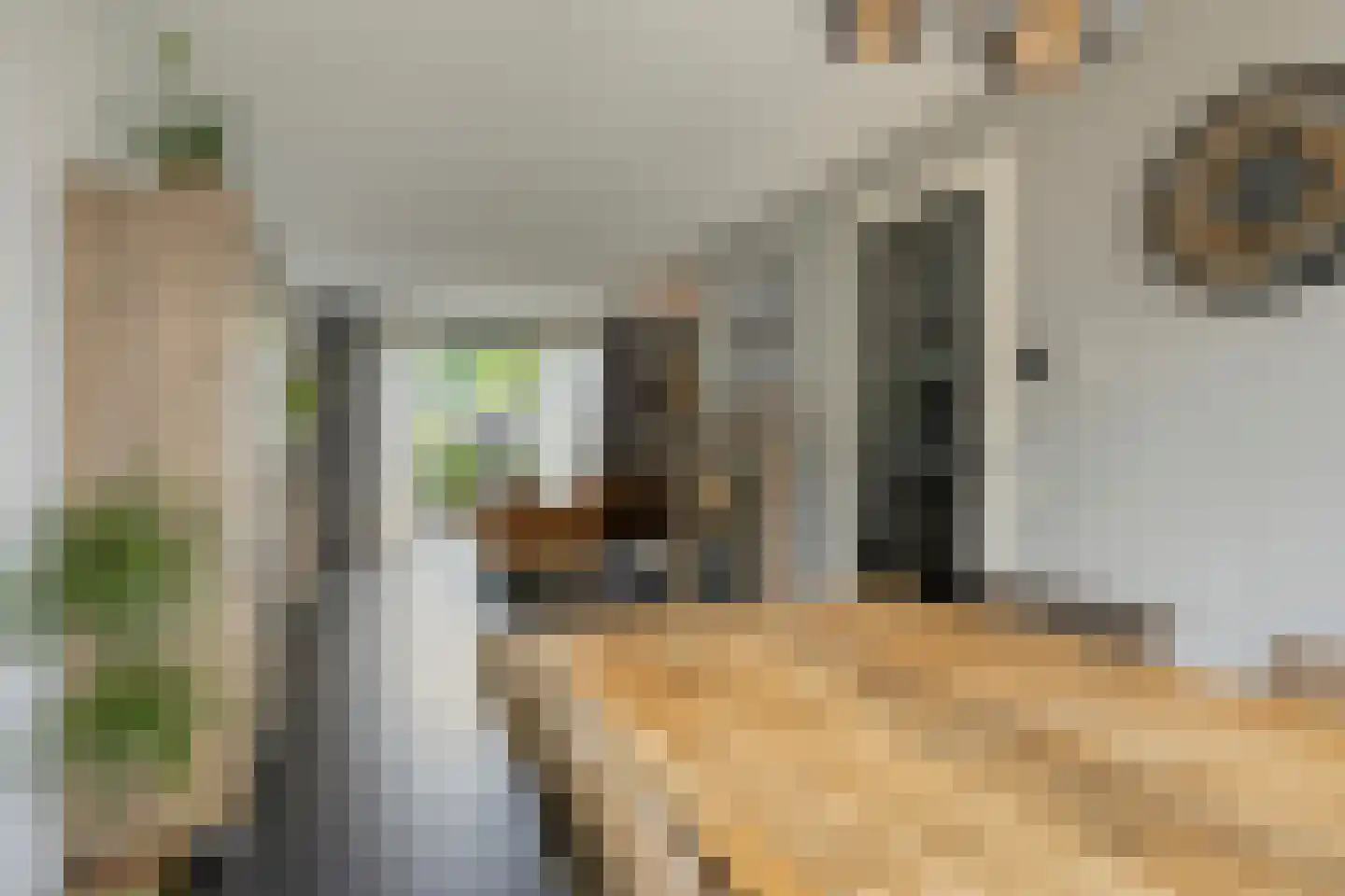 Goudreinet 20 Fijnaart thumbnail 19