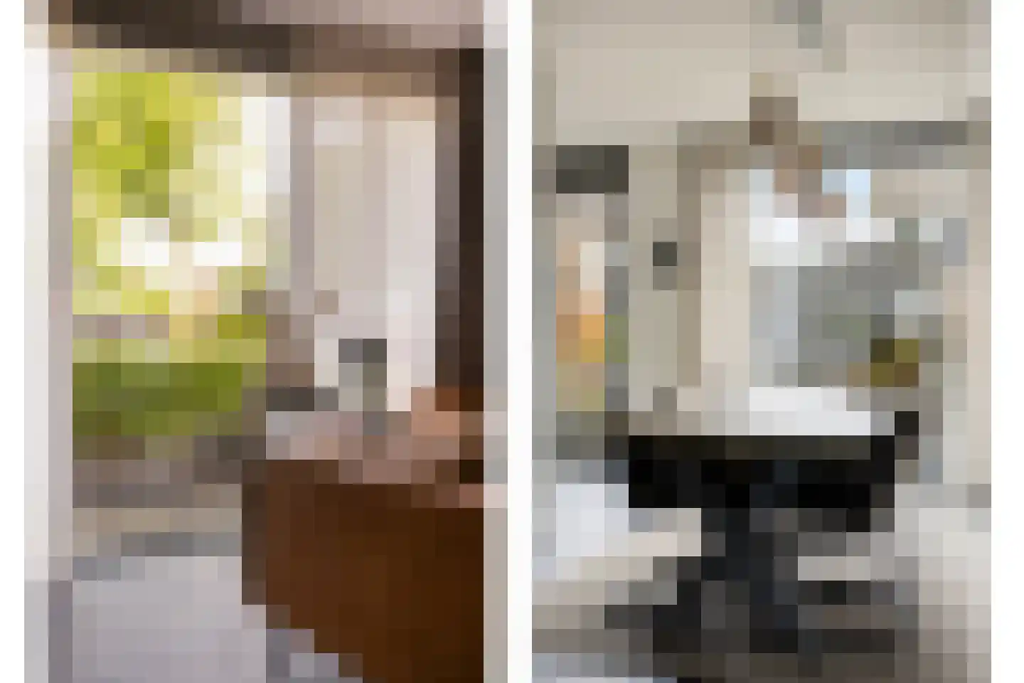 Goudreinet 20 Fijnaart thumbnail 21