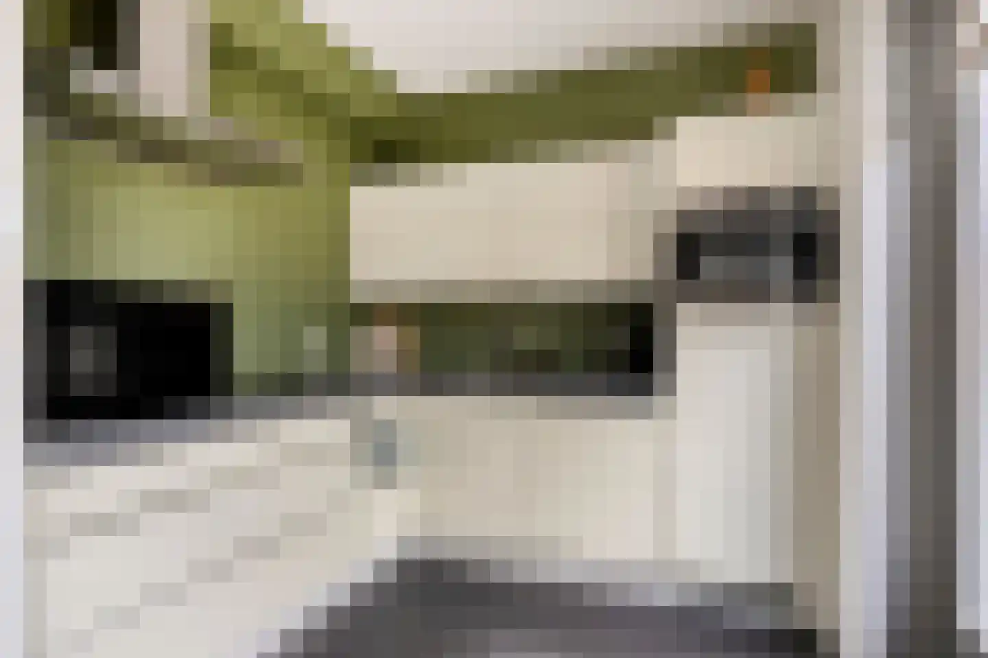 Goudreinet 20 Fijnaart thumbnail 22
