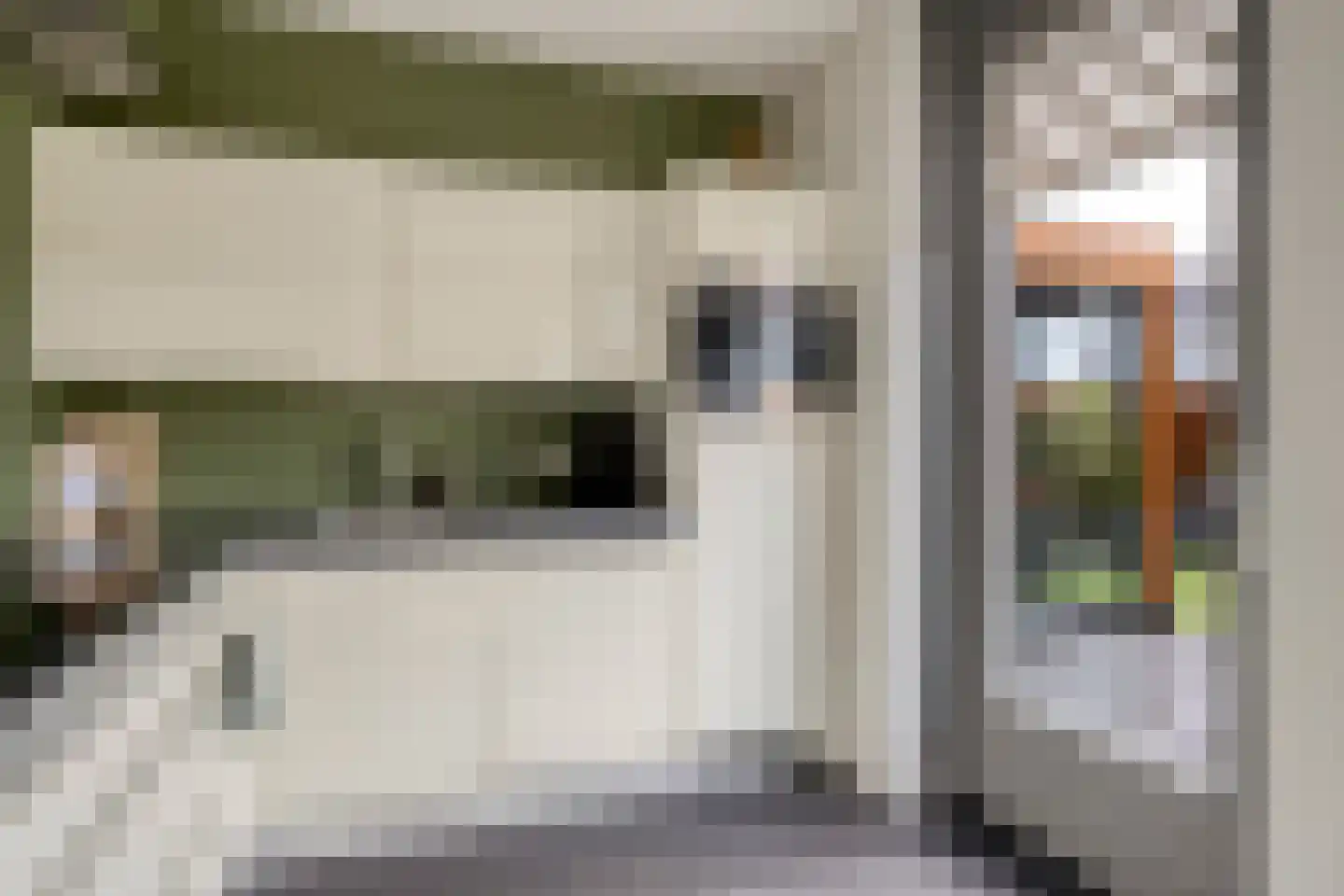 Goudreinet 20 Fijnaart thumbnail 23