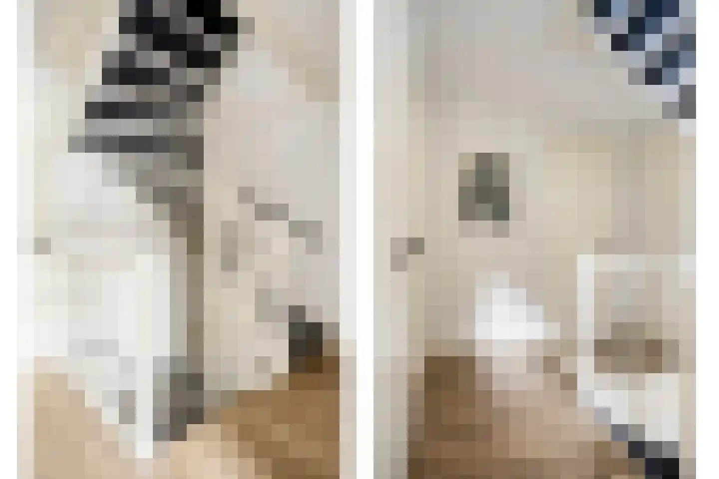 Goudreinet 20 Fijnaart thumbnail 28