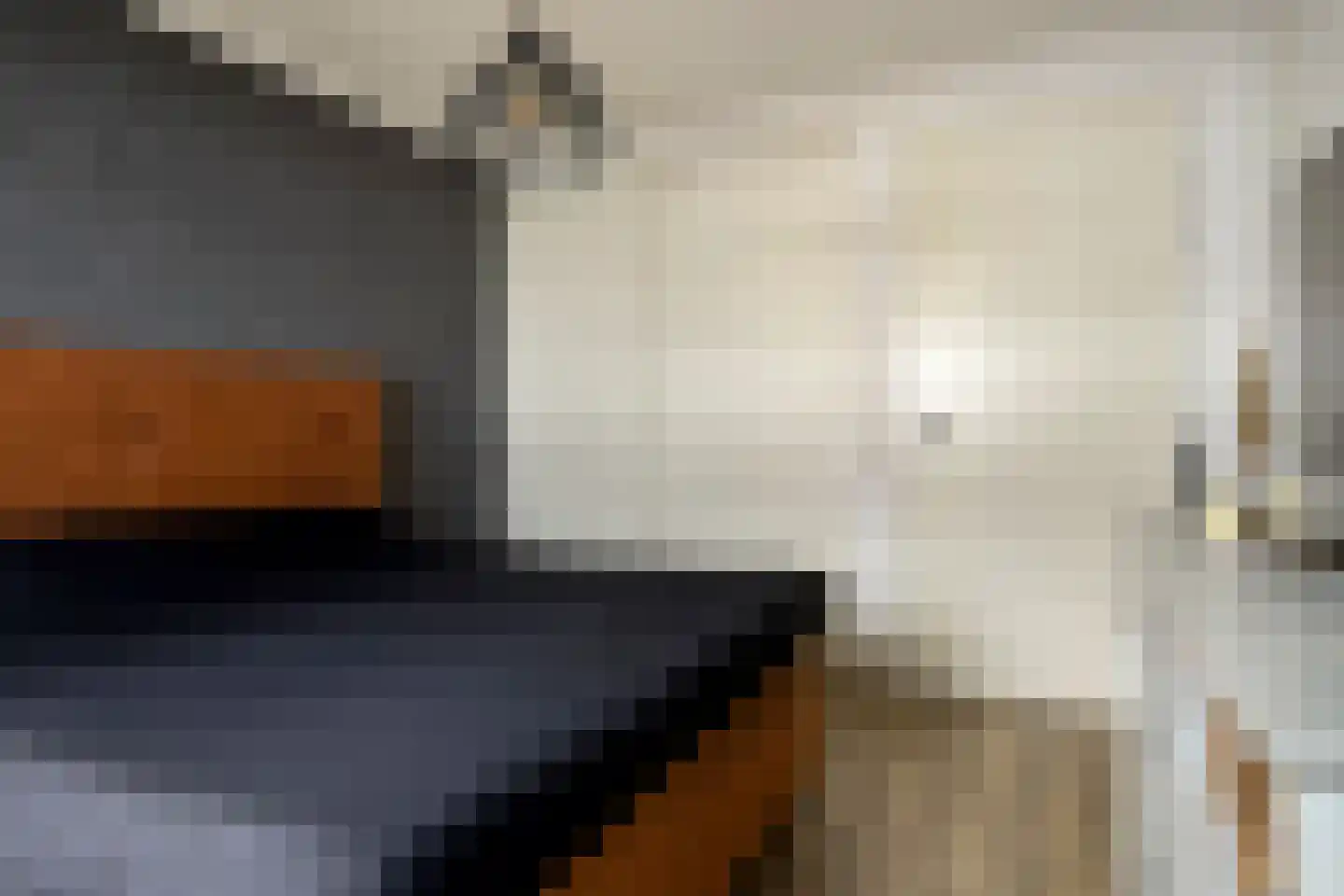 Goudreinet 20 Fijnaart thumbnail 31