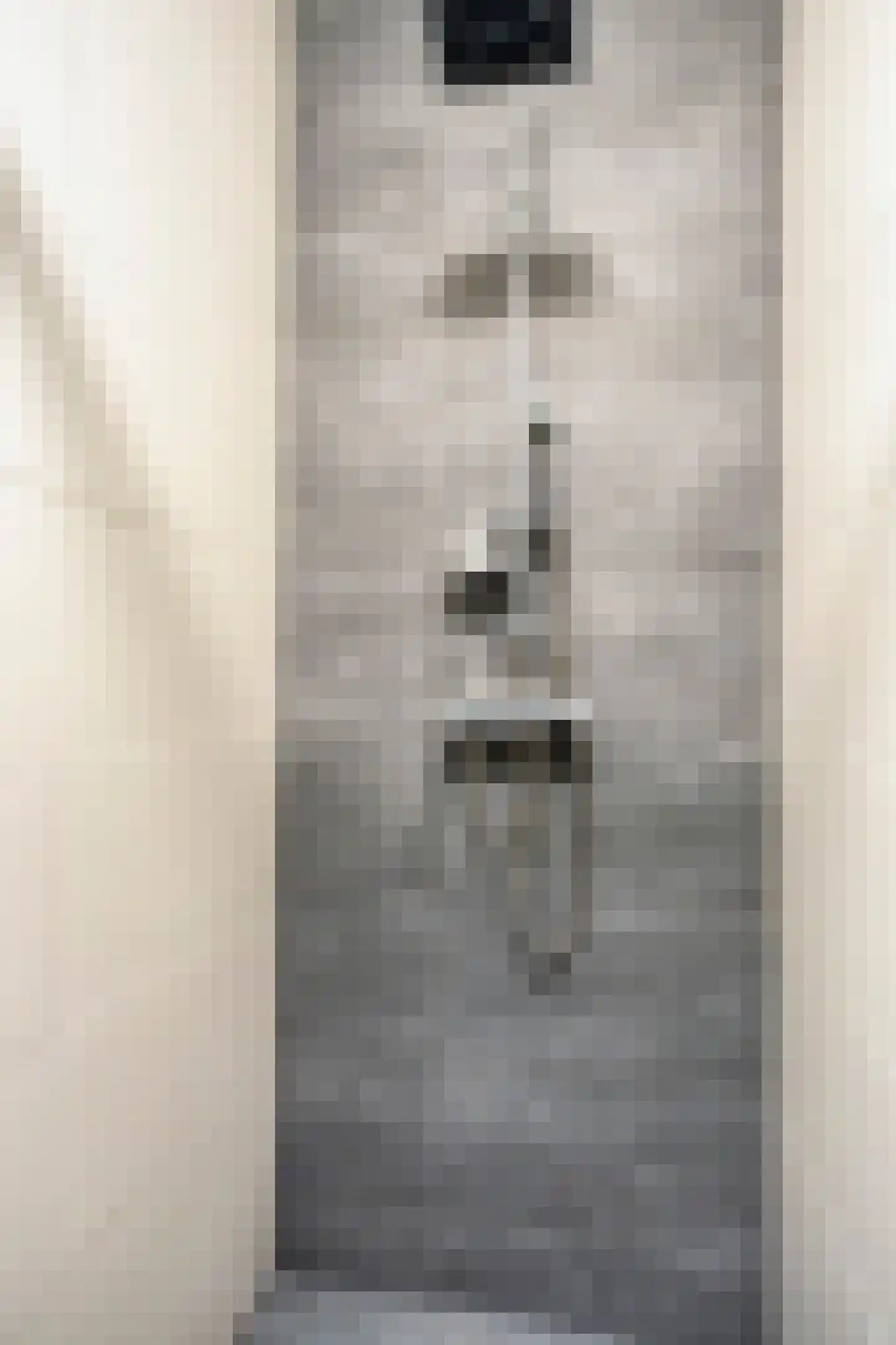Goudreinet 20 Fijnaart thumbnail 34