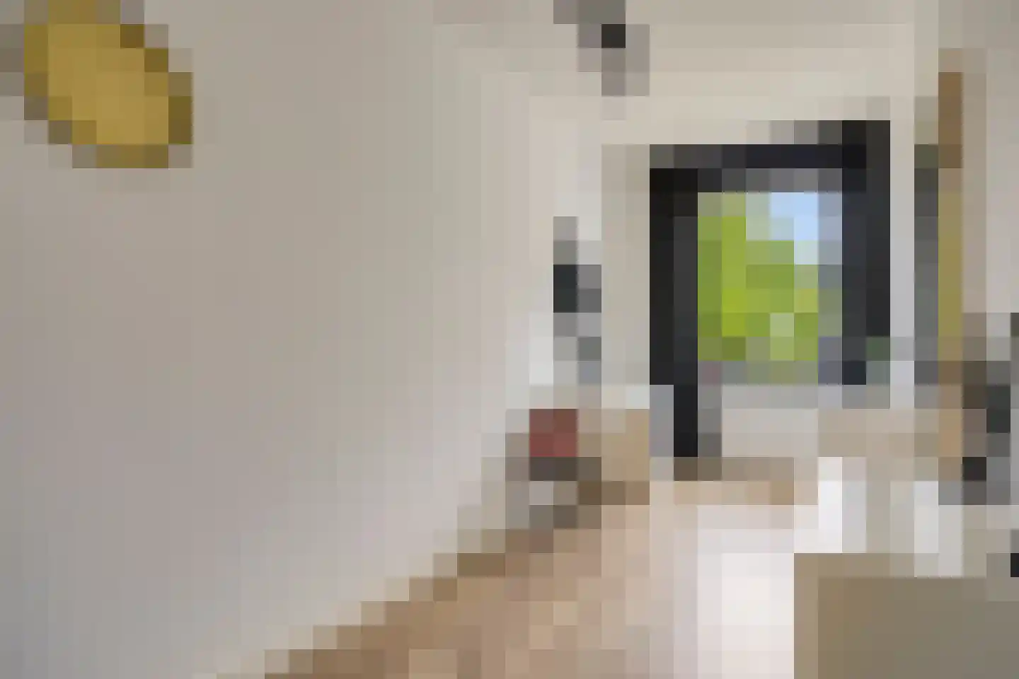 Goudreinet 20 Fijnaart thumbnail 41