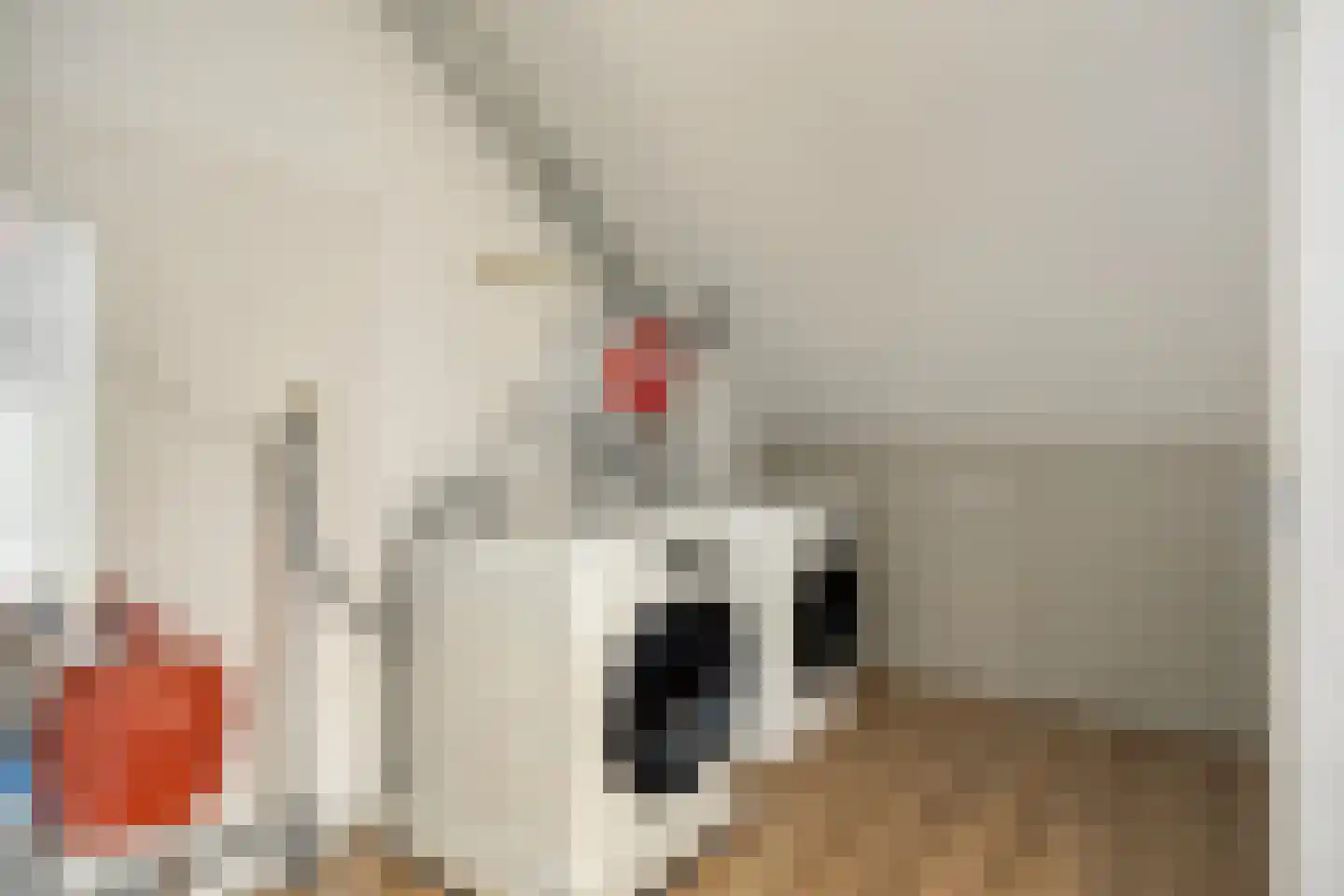 Goudreinet 20 Fijnaart thumbnail 44