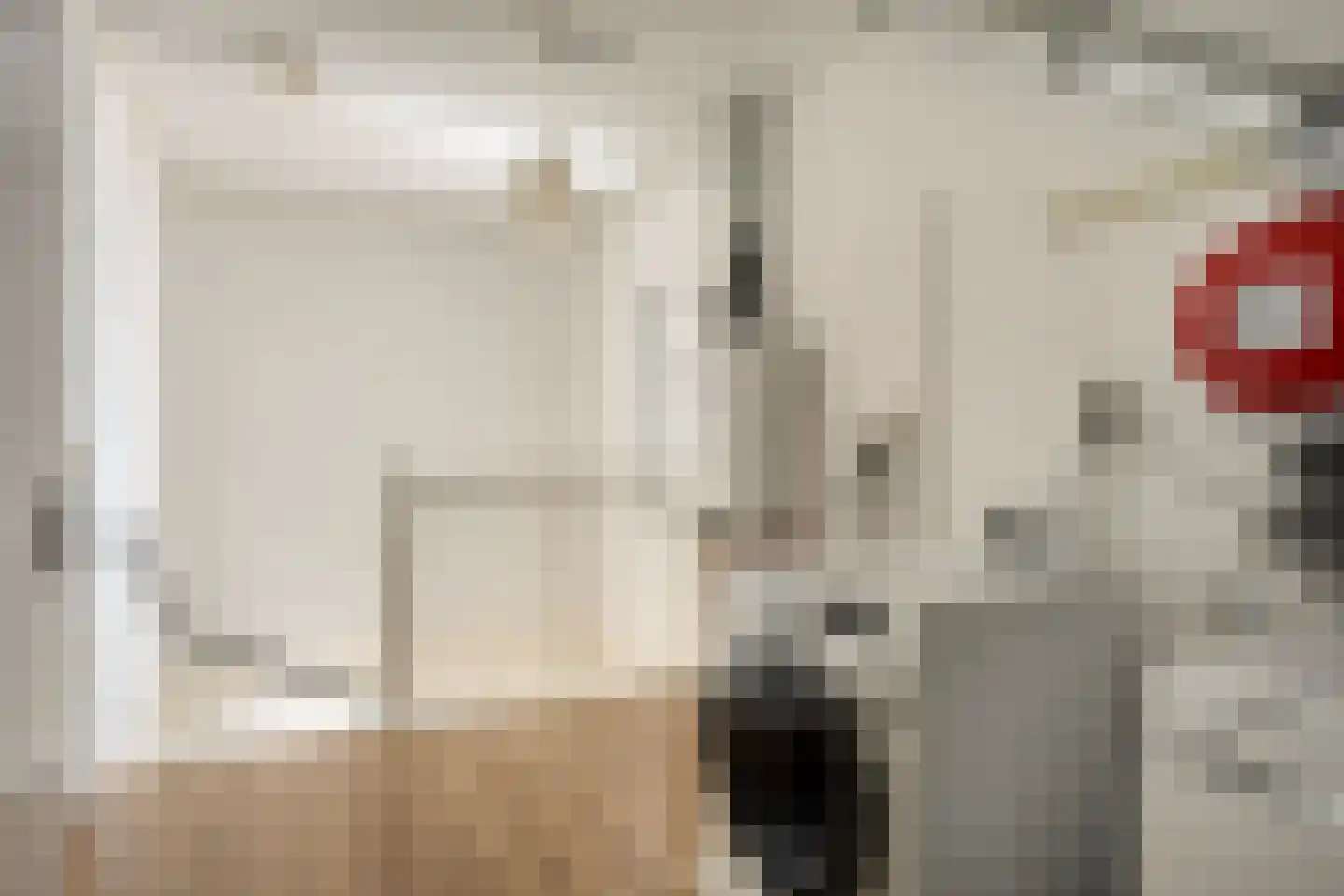Goudreinet 20 Fijnaart thumbnail 45