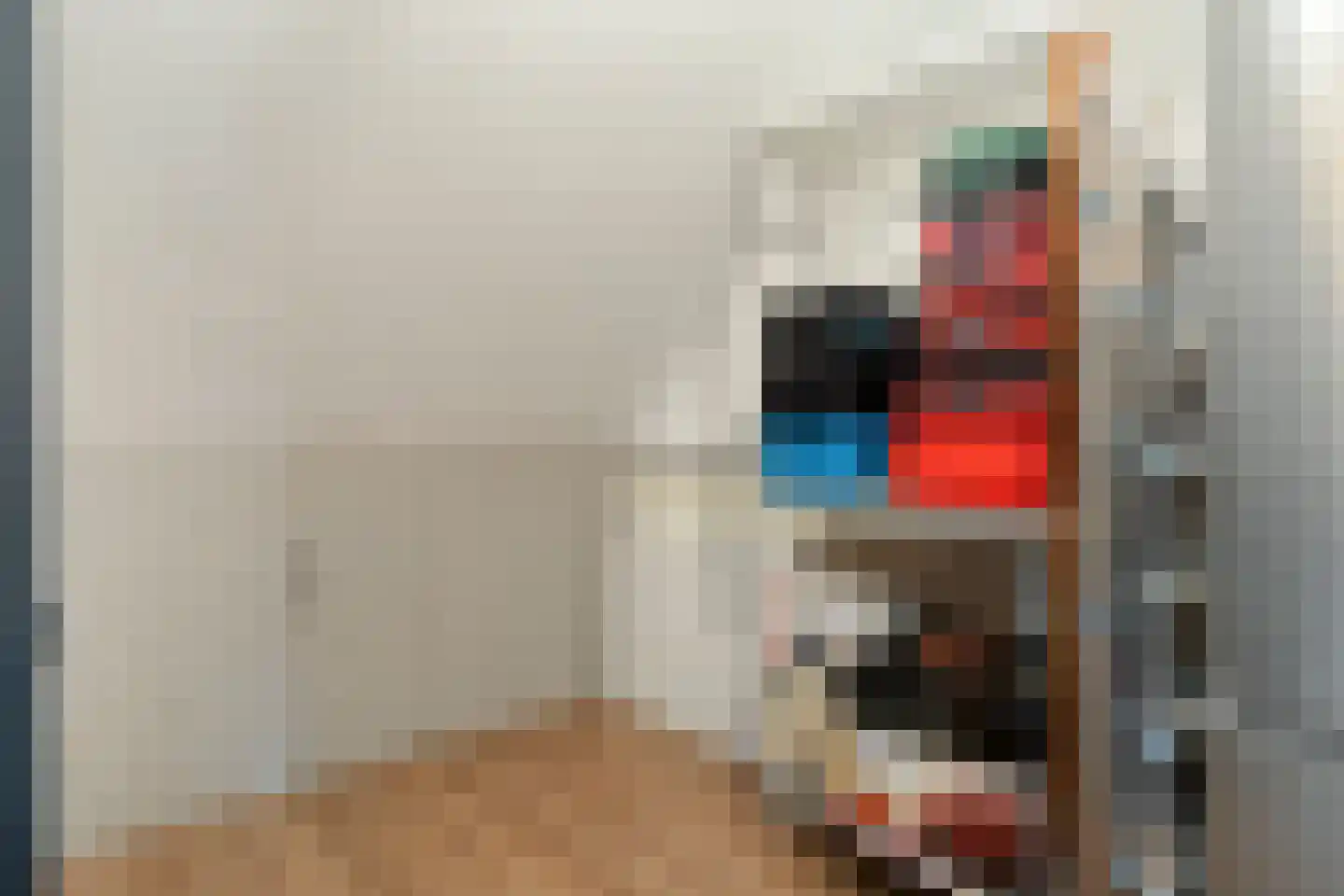 Goudreinet 20 Fijnaart thumbnail 48