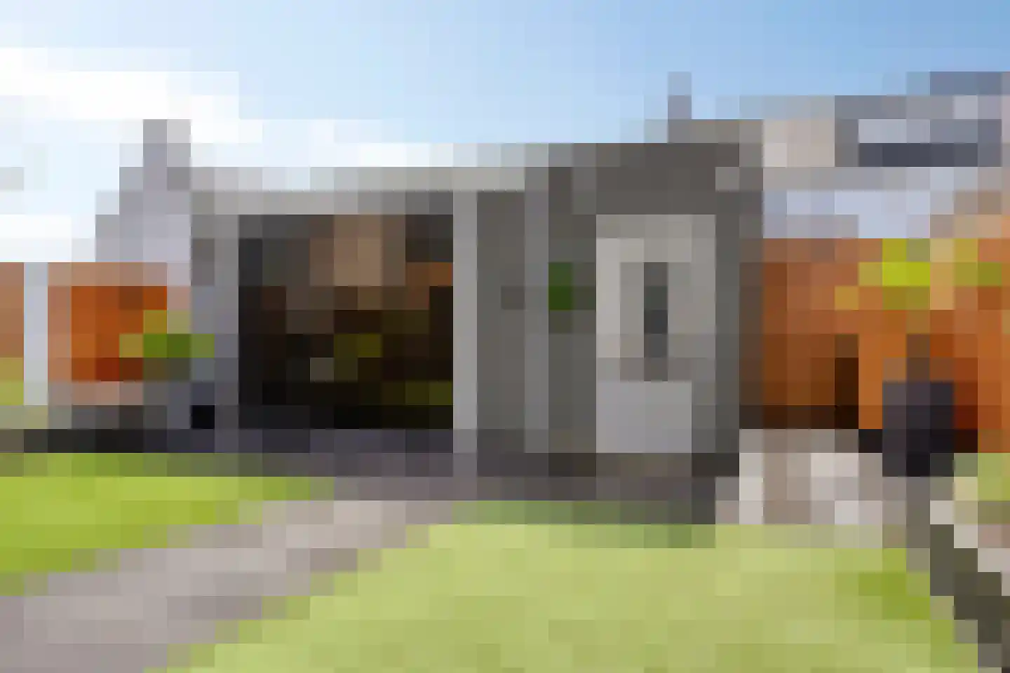 Goudreinet 20 Fijnaart thumbnail 52
