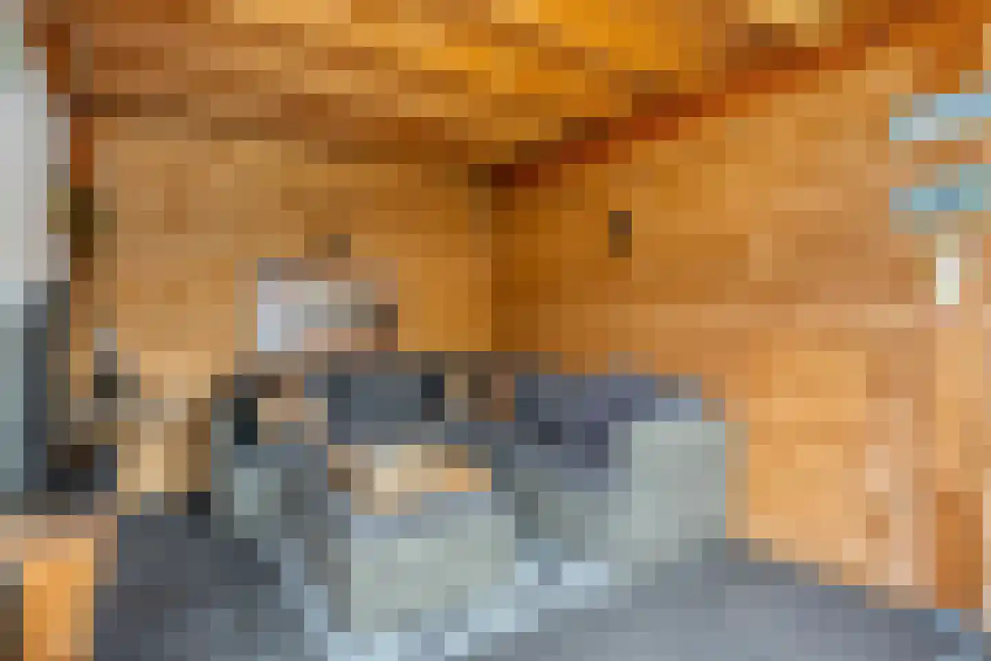 Goudreinet 20 Fijnaart thumbnail 56