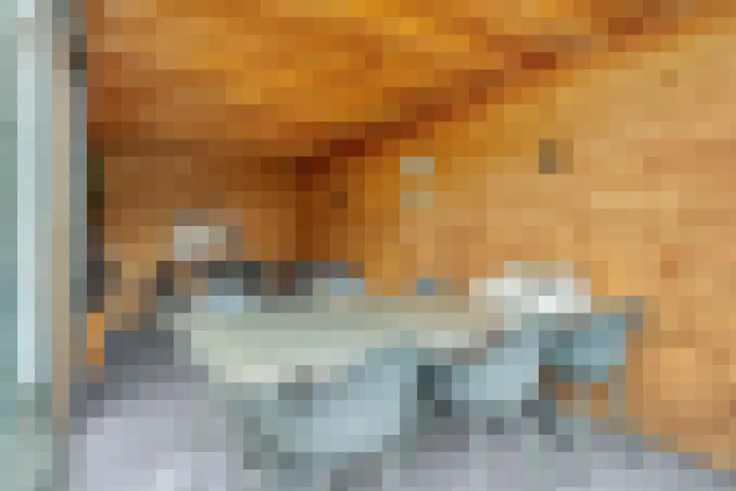 Goudreinet 20 Fijnaart thumbnail 57