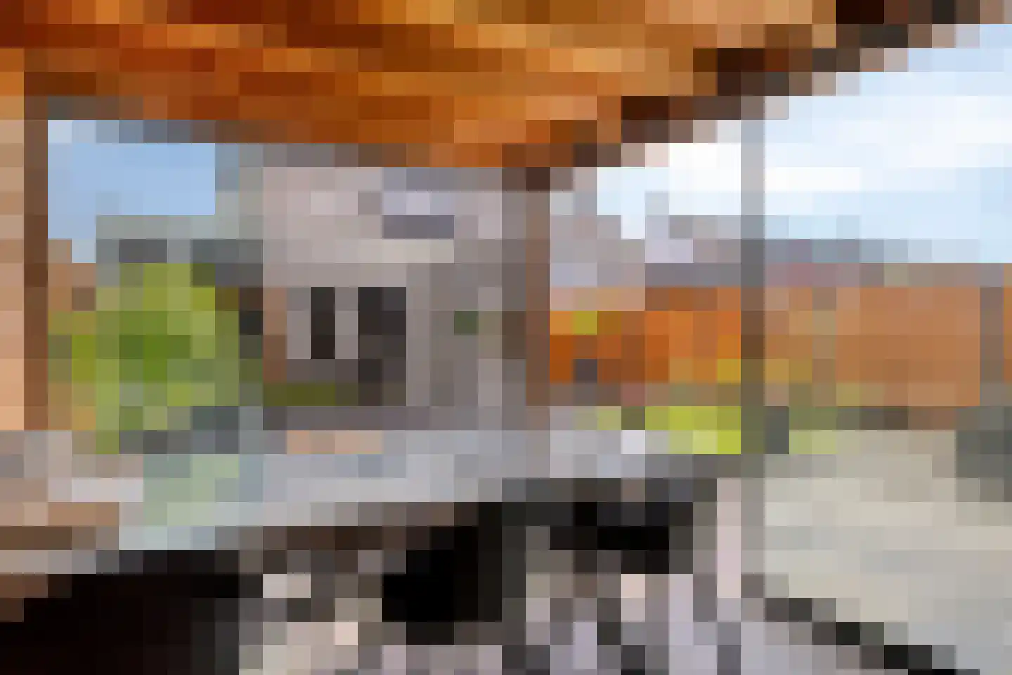 Goudreinet 20 Fijnaart thumbnail 58