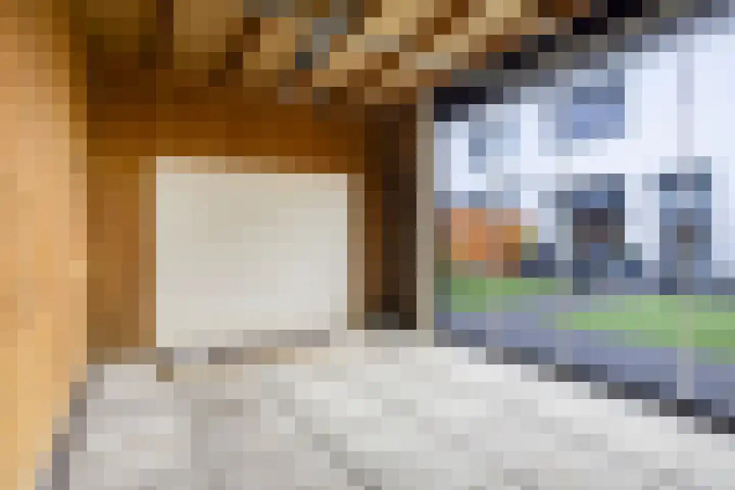 Goudreinet 20 Fijnaart thumbnail 60