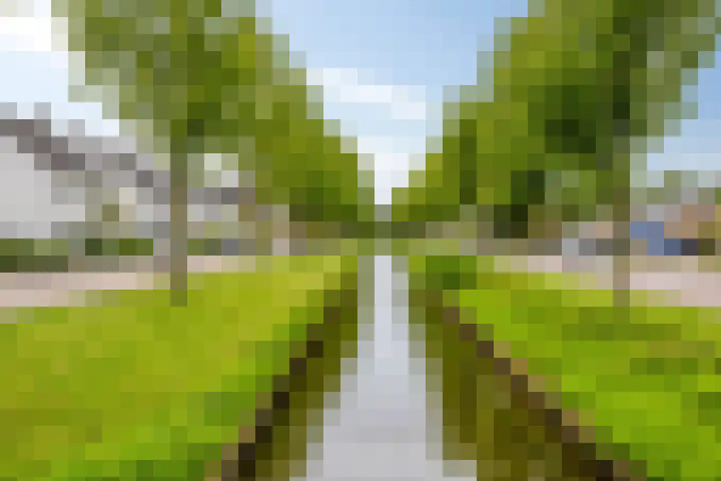 Goudreinet 20 Fijnaart thumbnail 61