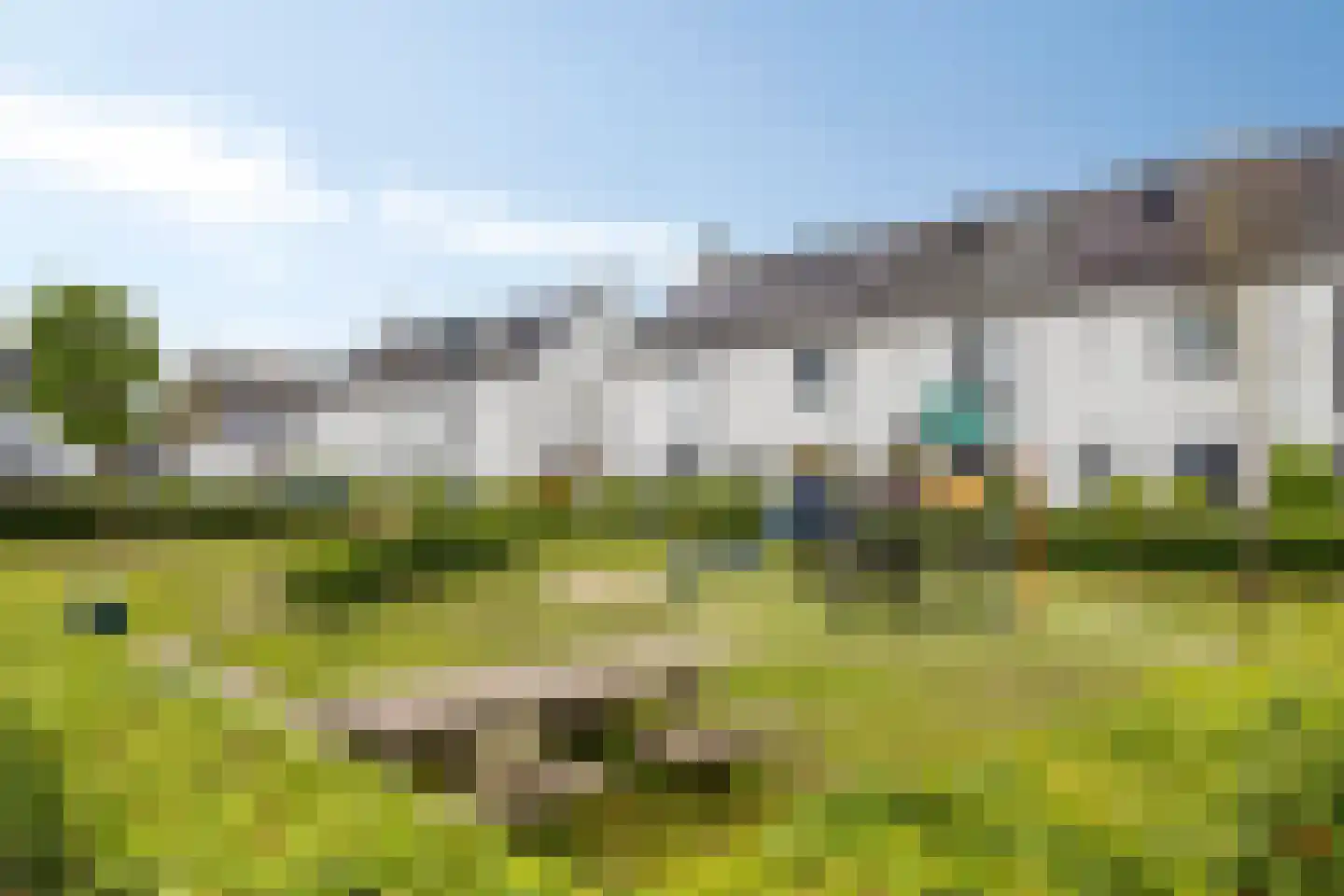 Goudreinet 20 Fijnaart thumbnail 62