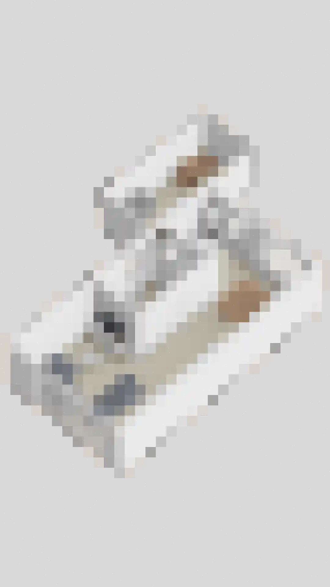 Goudreinet 20 Fijnaart thumbnail 63