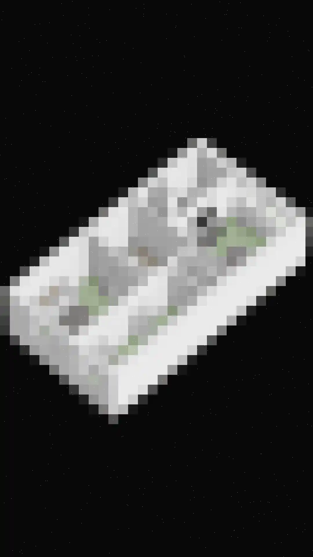 Goudreinet 20 Fijnaart thumbnail 64