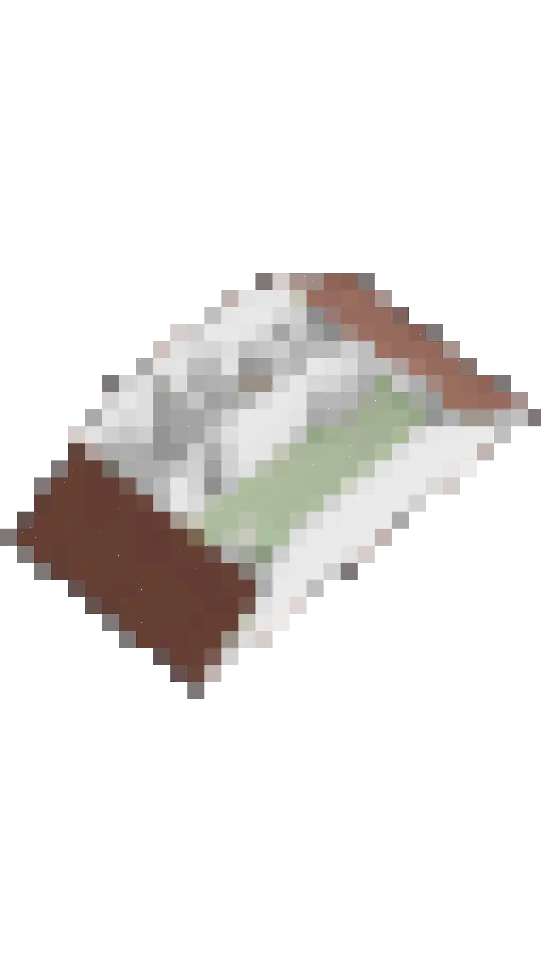 Goudreinet 20 Fijnaart thumbnail 66