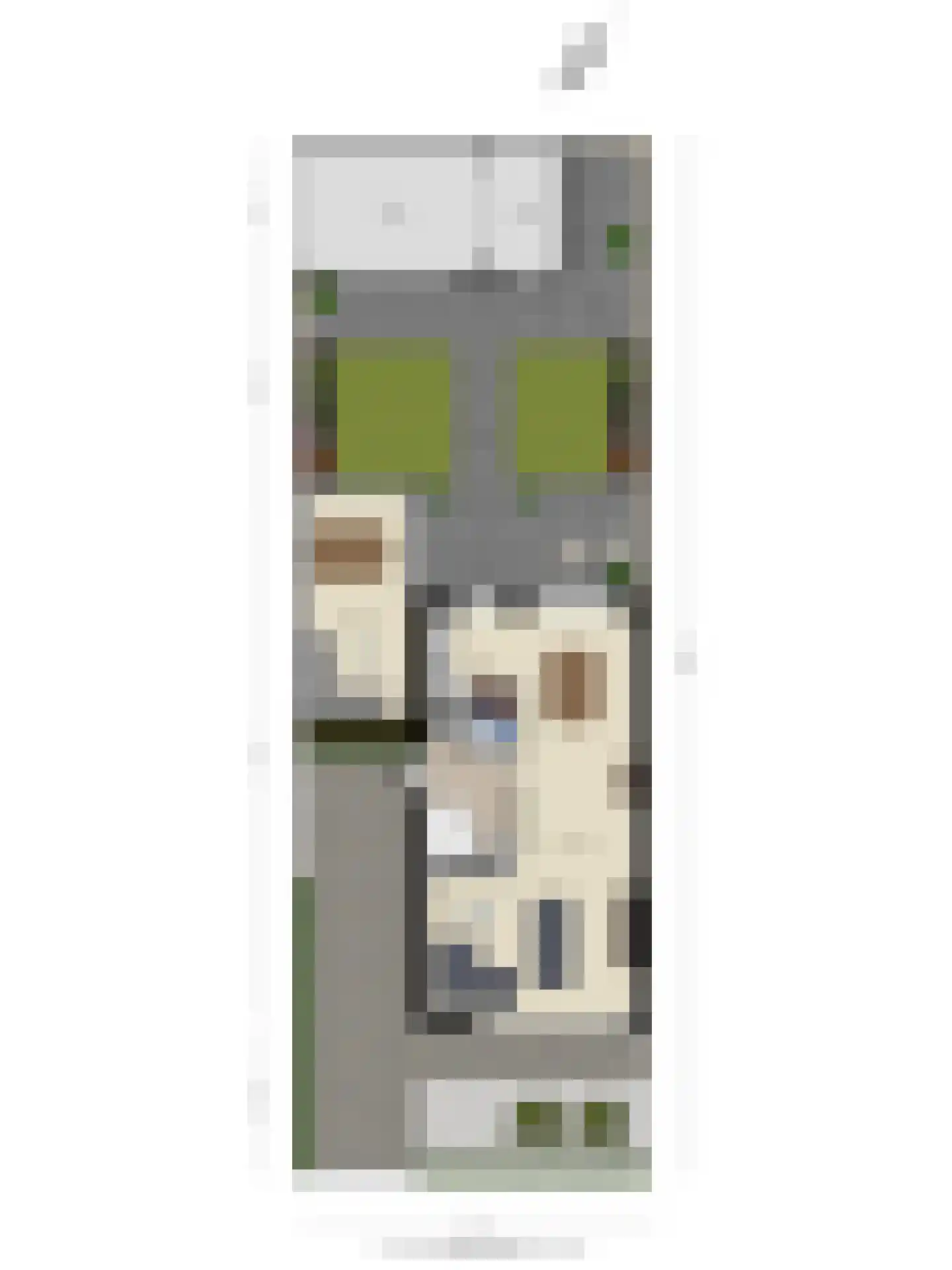 Goudreinet 20 Fijnaart thumbnail 67