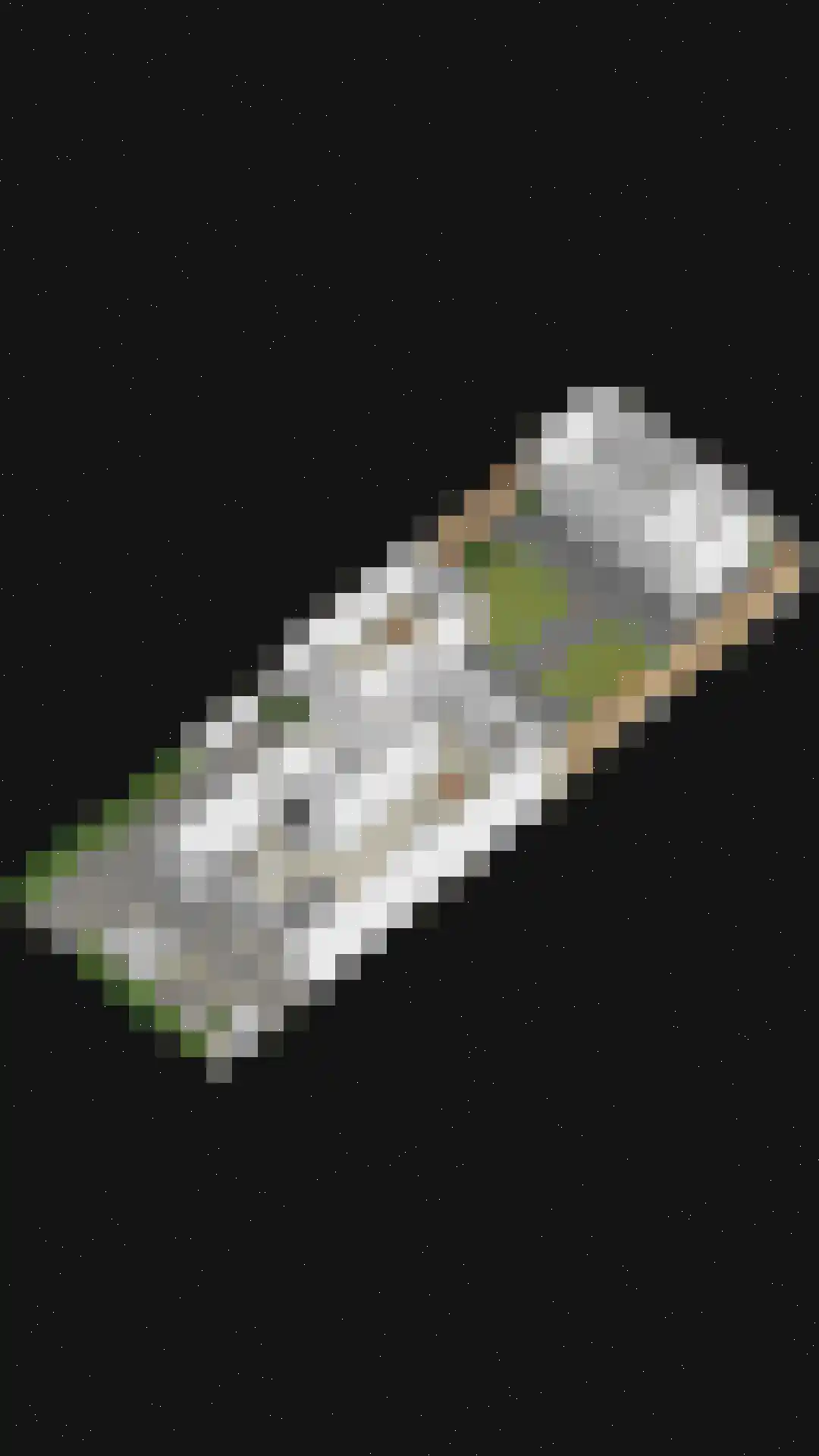 Goudreinet 20 Fijnaart thumbnail 69