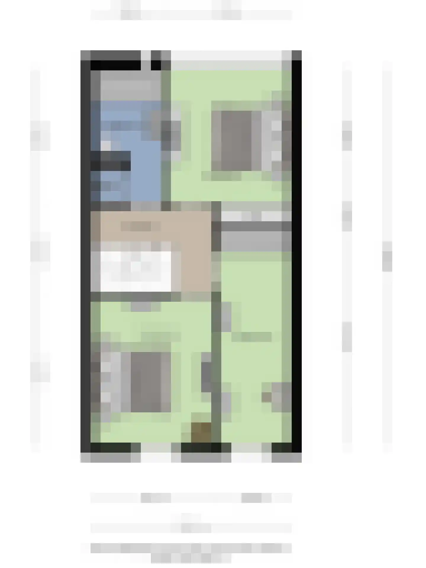 Goudreinet 20 Fijnaart thumbnail 70