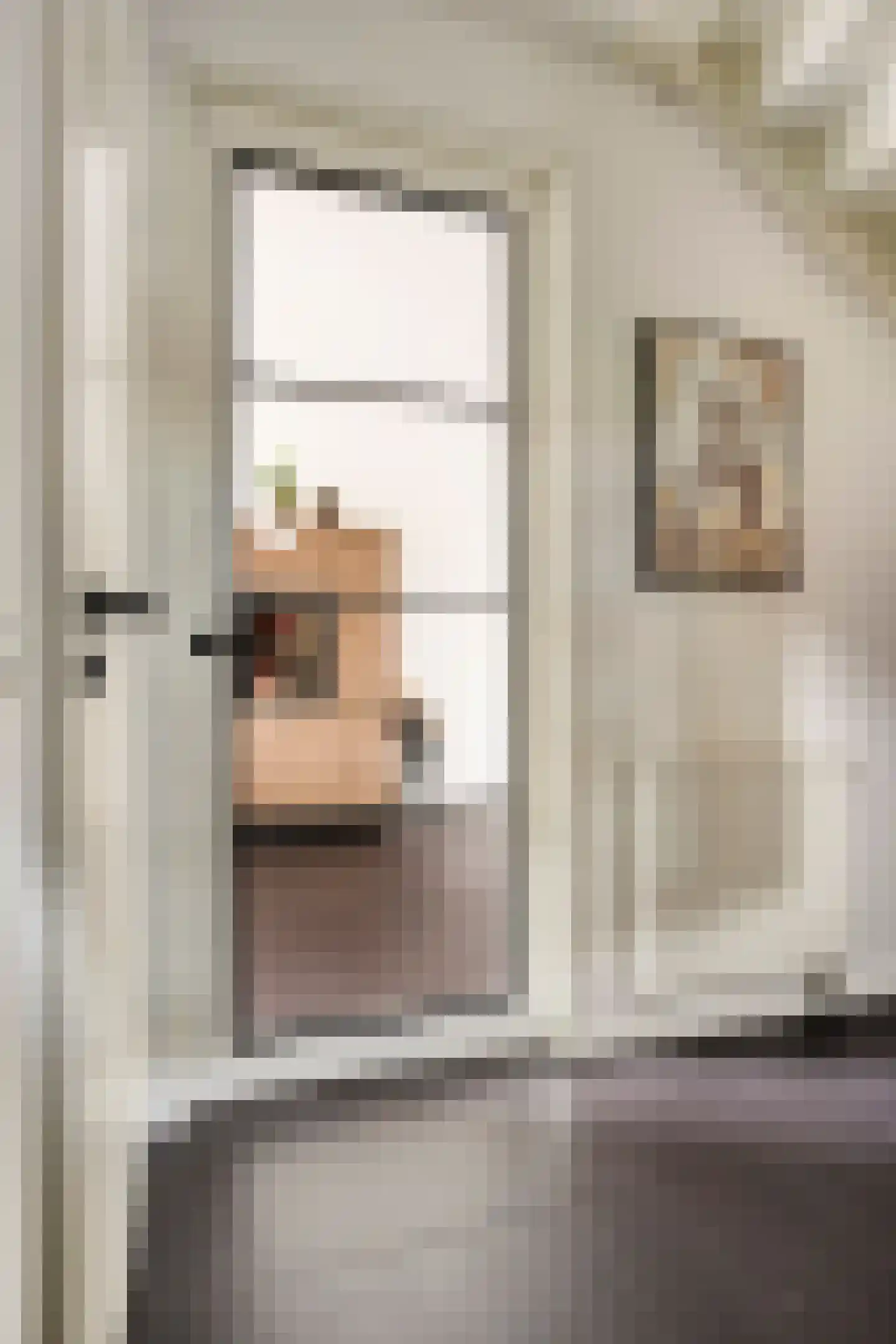 Goudreinet 20 Fijnaart thumbnail 8