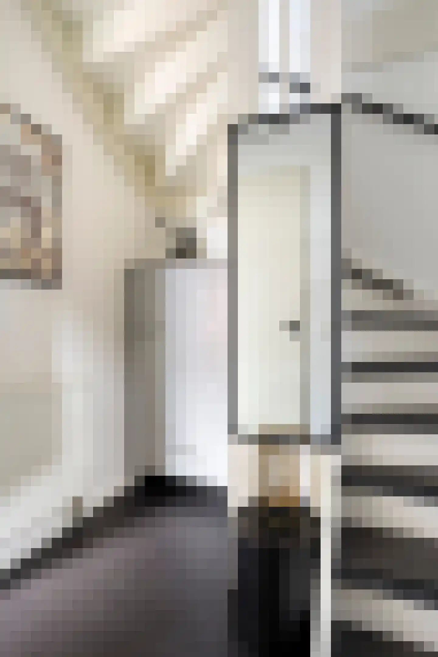 Goudreinet 20 Fijnaart thumbnail 9