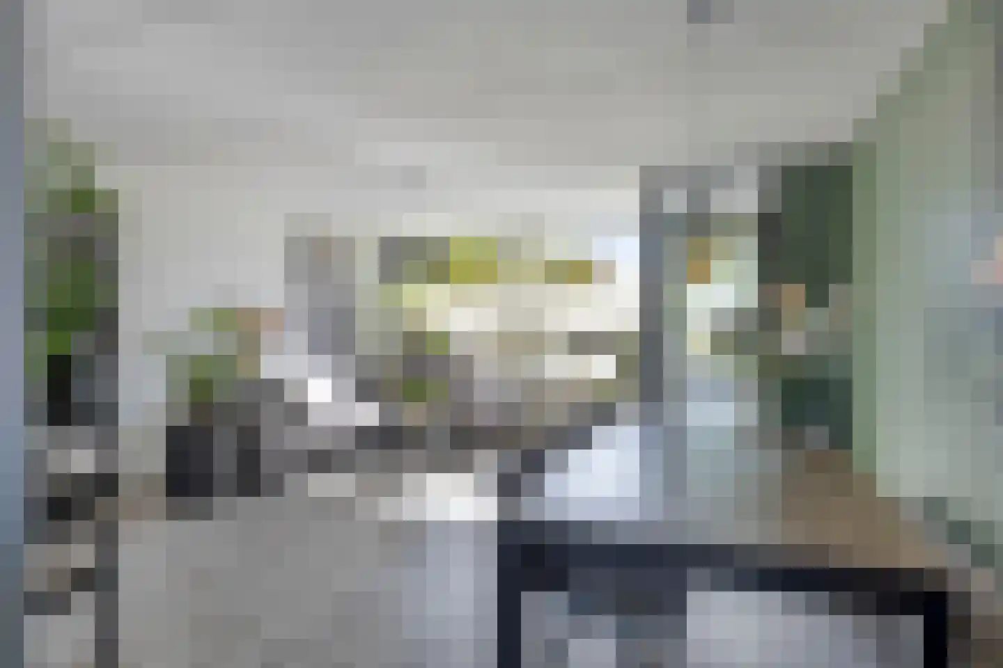 Goudreinet 26 Elst thumbnail 12