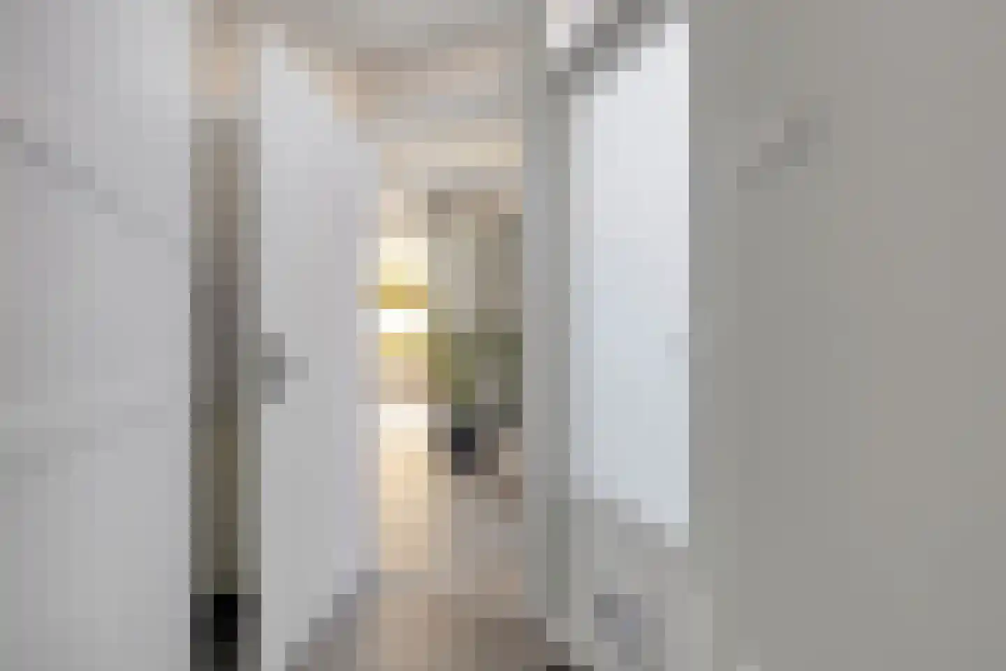 Goudreinet 26 Elst thumbnail 13