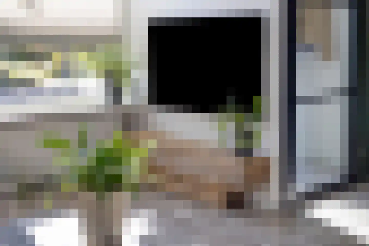 Goudreinet 26 Elst thumbnail 17