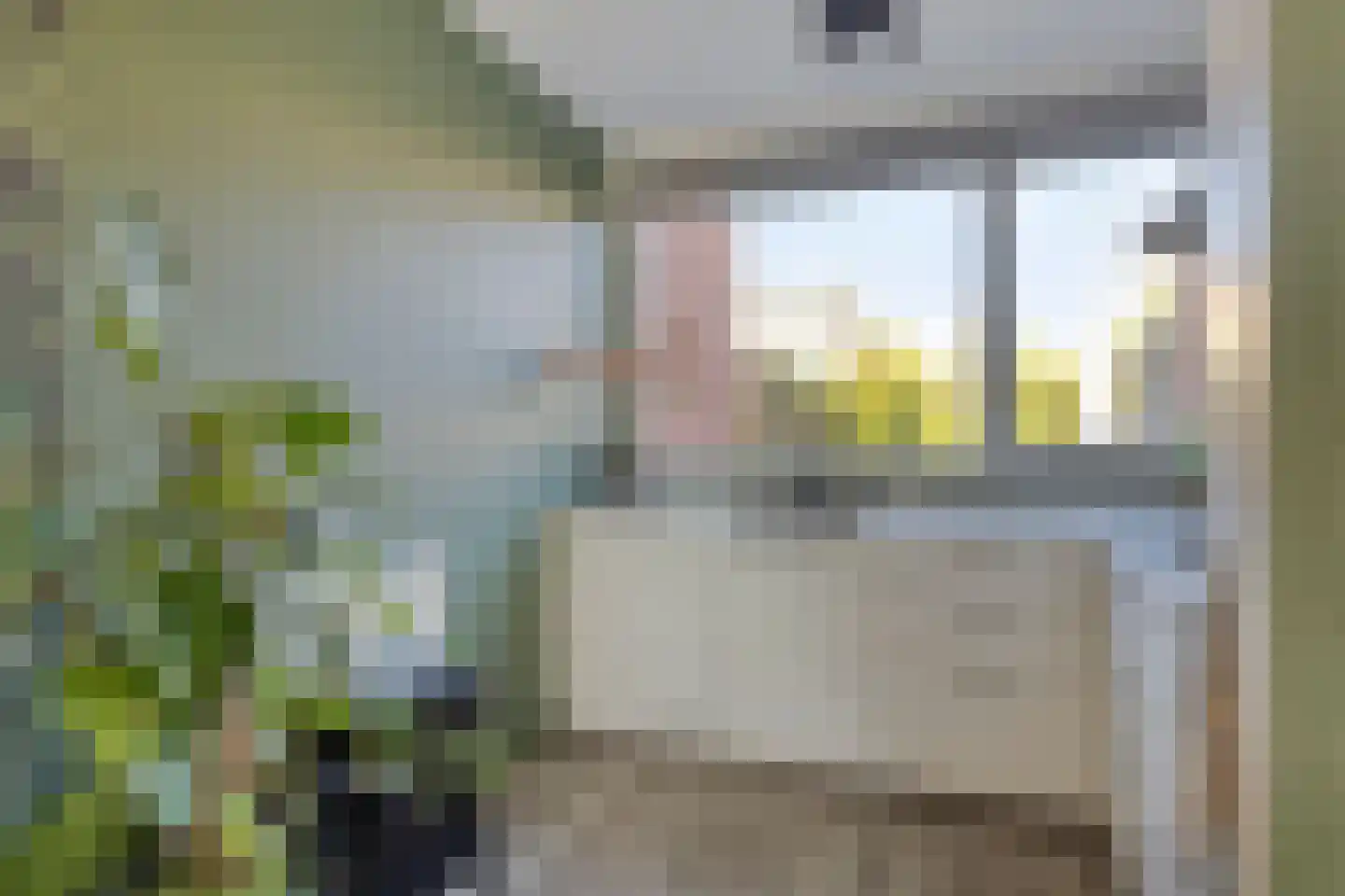 Goudreinet 26 Elst thumbnail 19