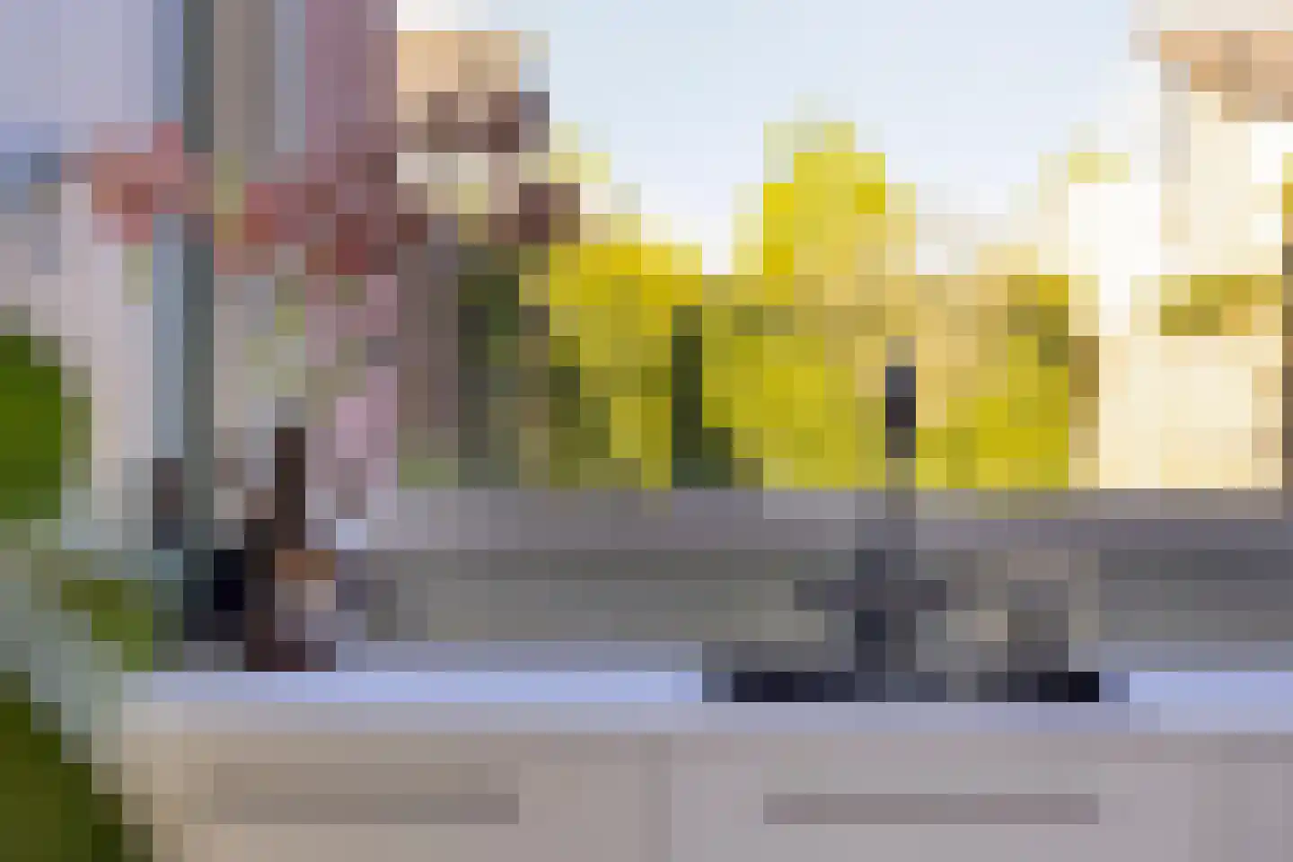 Goudreinet 26 Elst thumbnail 21