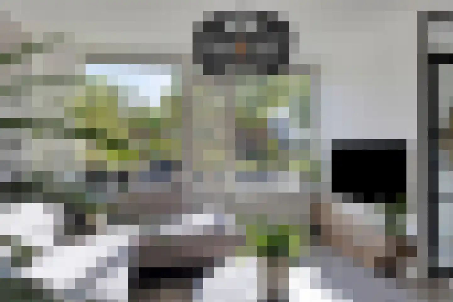 Goudreinet 26 Elst thumbnail 25