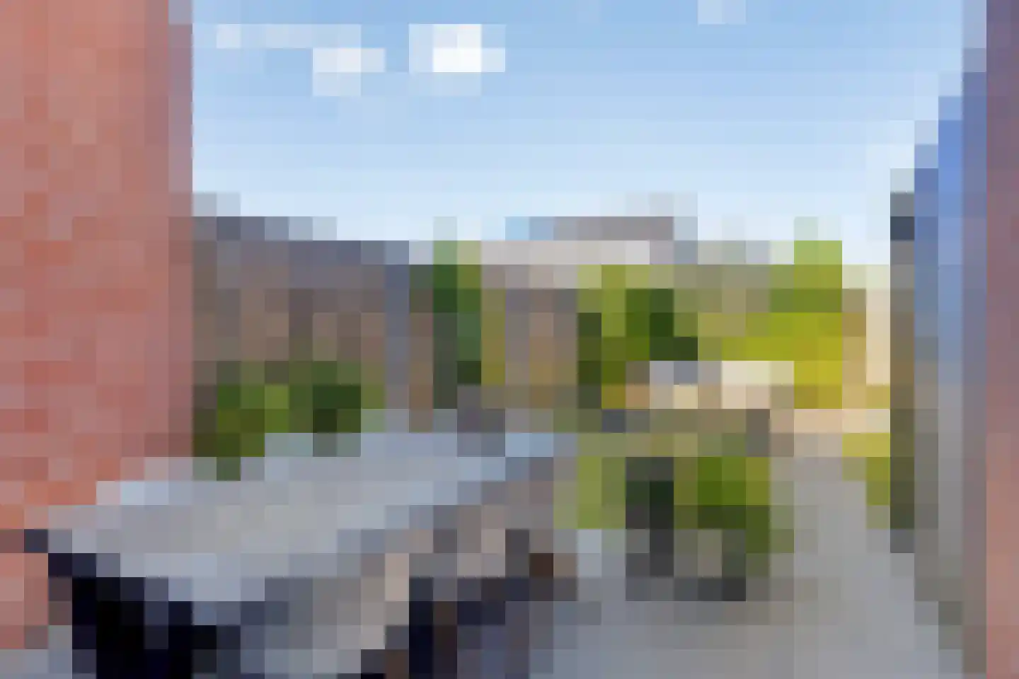 Goudreinet 26 Elst thumbnail 26