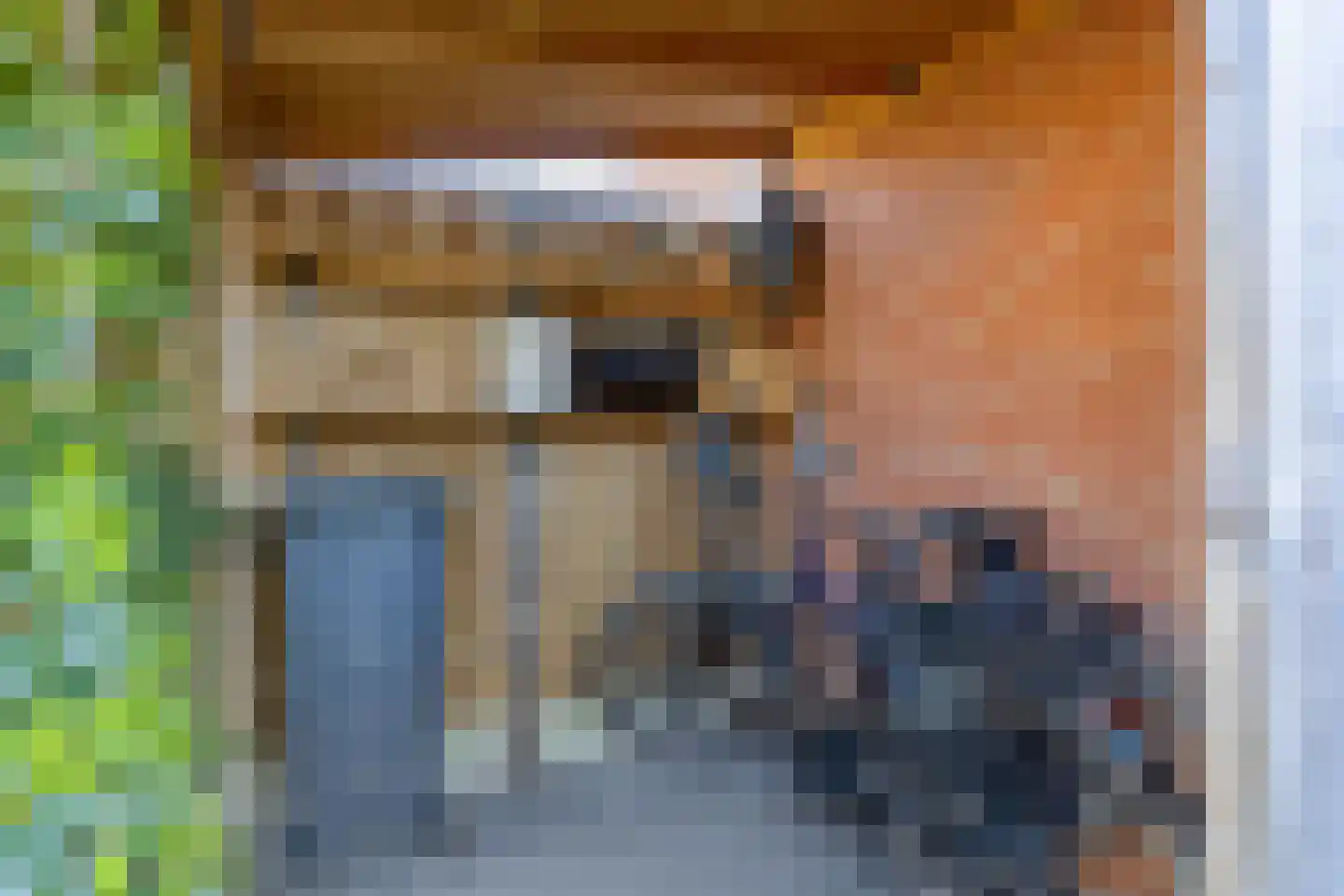 Goudreinet 26 Elst thumbnail 28