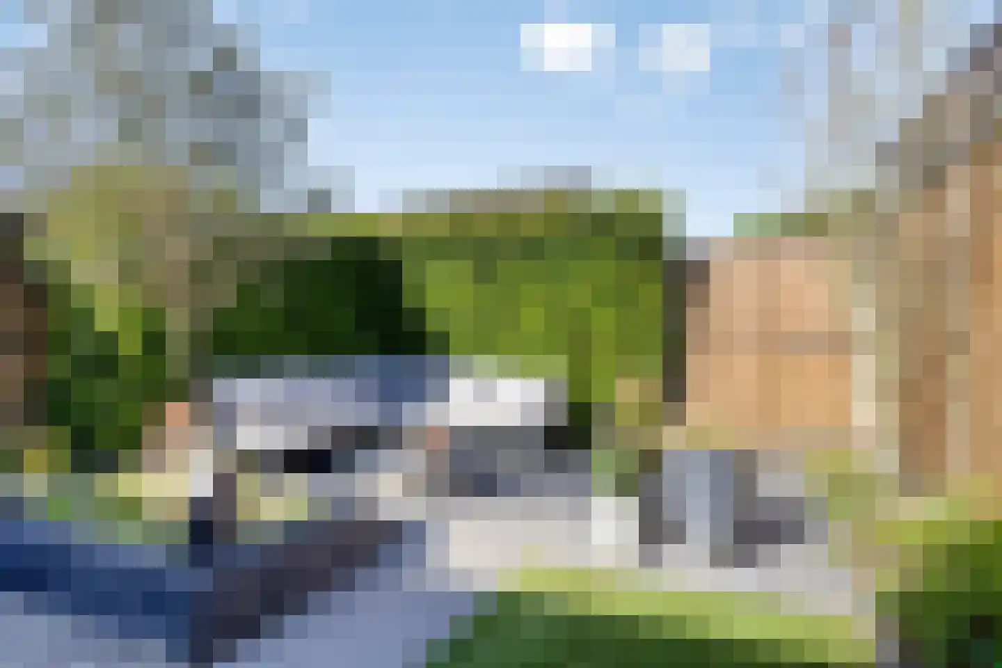 Goudreinet 26 Elst thumbnail 29