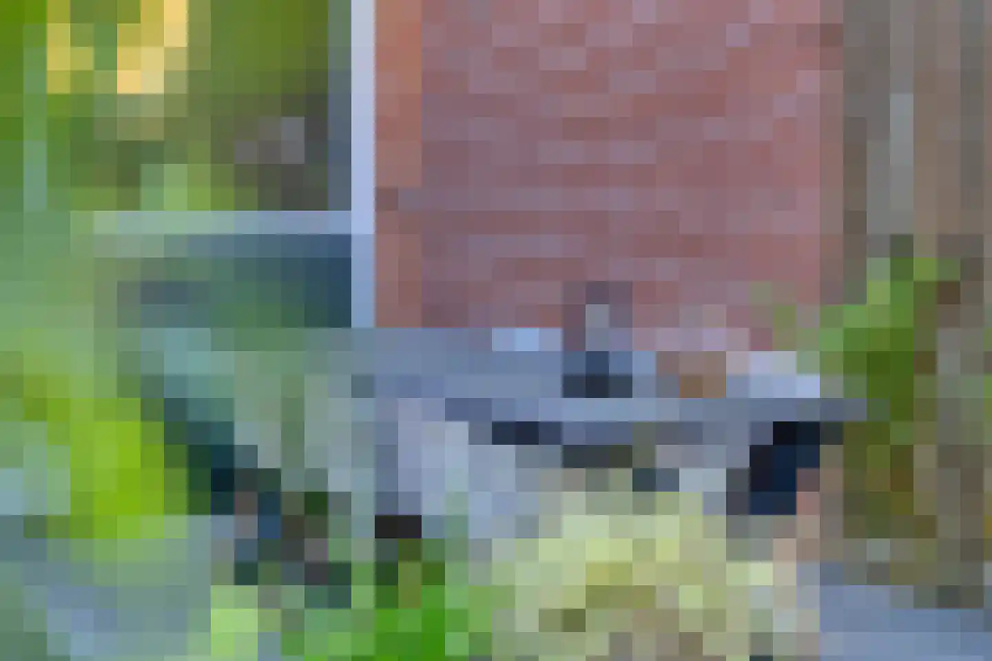 Goudreinet 26 Elst thumbnail 33