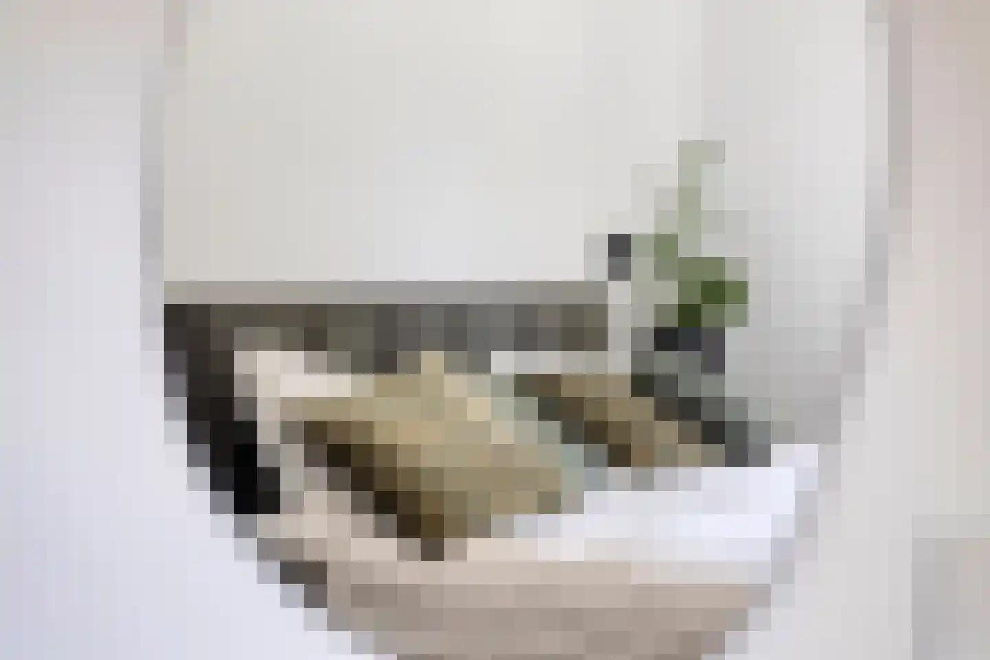 Goudreinet 26 Elst thumbnail 44