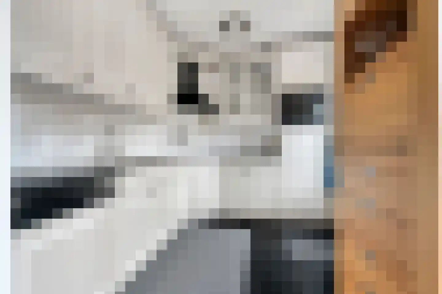 Goudreinet 3 Huissen thumbnail 11