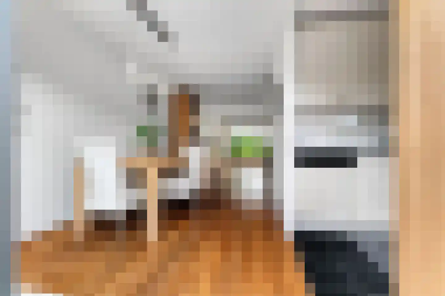 Goudreinet 3 Huissen thumbnail 15