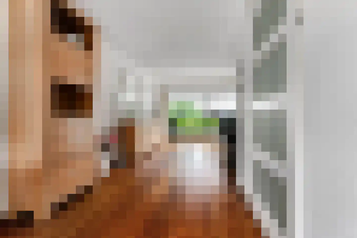 Goudreinet 3 Huissen thumbnail 16