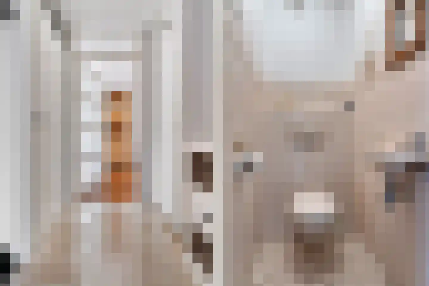 Goudreinet 3 Huissen thumbnail 17