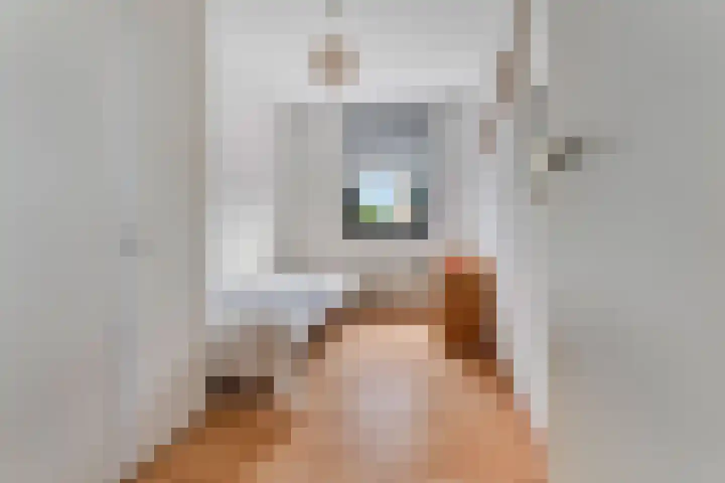 Goudreinet 3 Huissen thumbnail 22