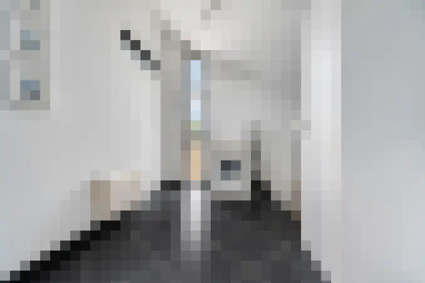 Goudreinet 3 Huissen thumbnail 32