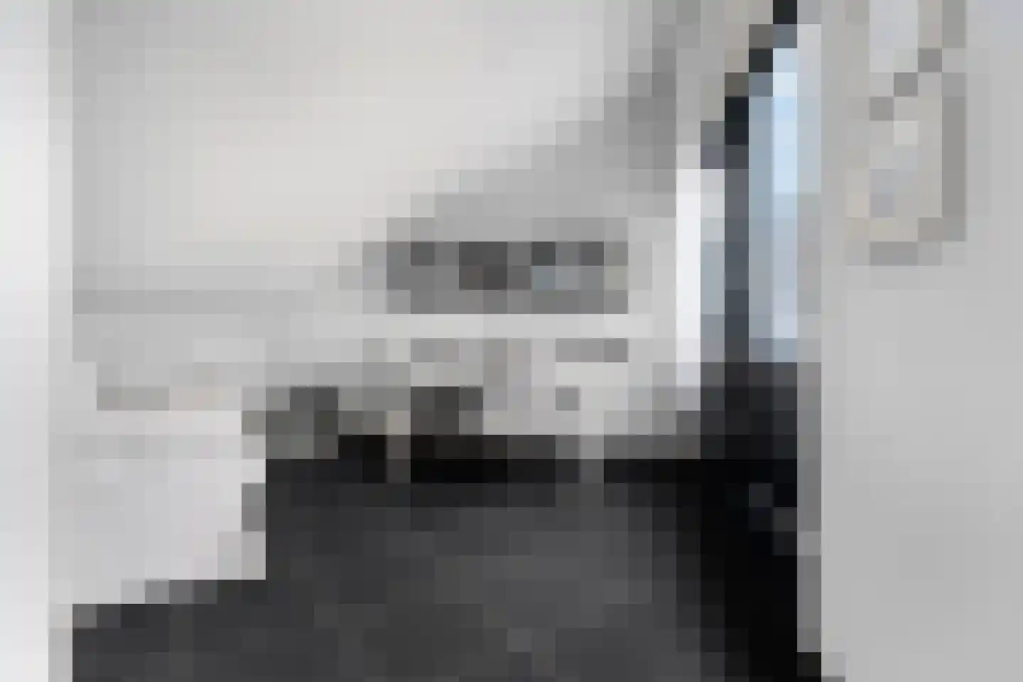Goudreinet 3 Huissen thumbnail 33