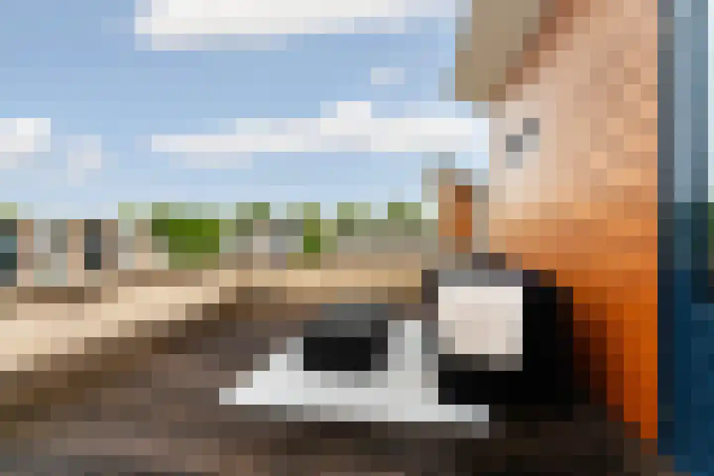 Goudreinet 3 Huissen thumbnail 36
