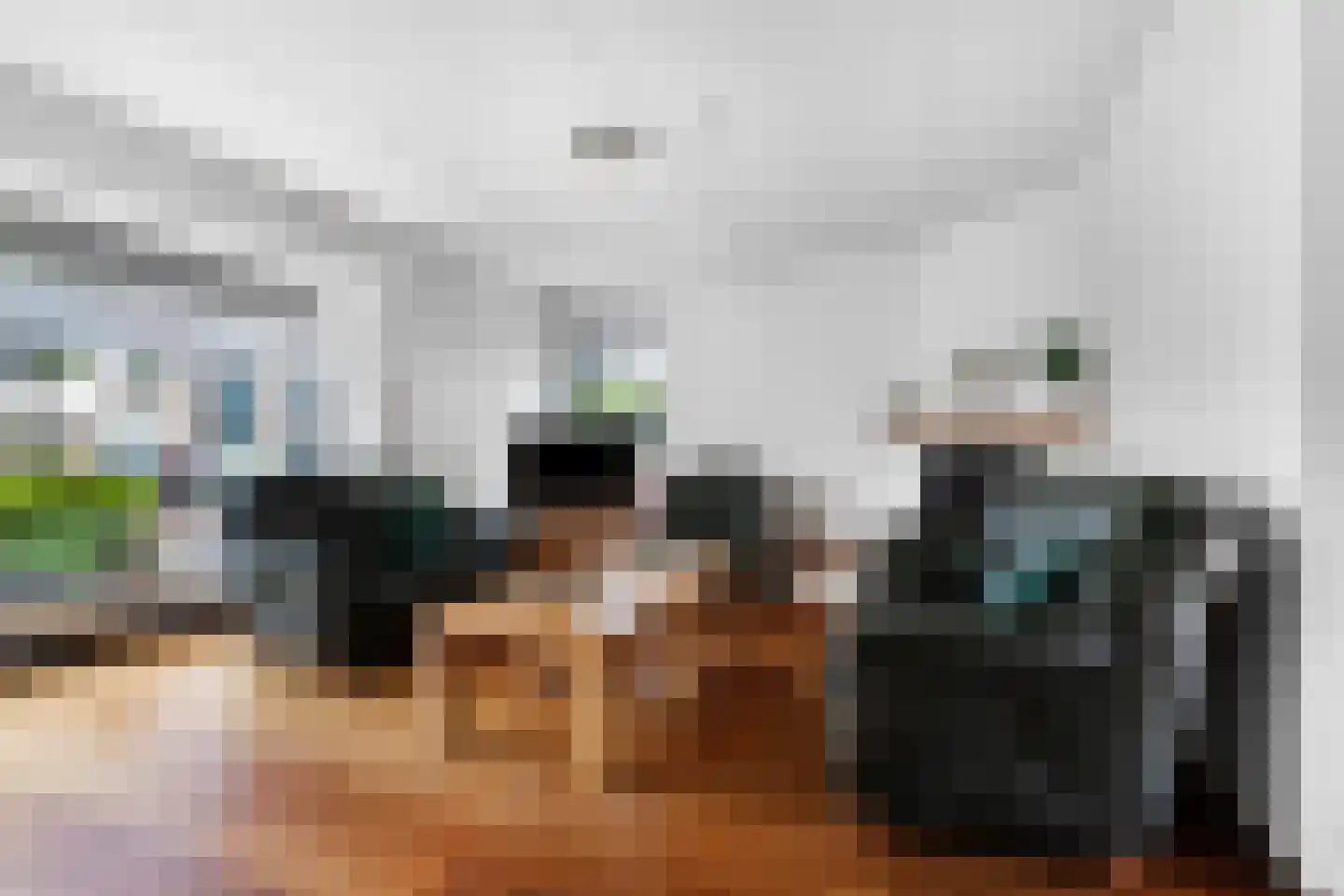 Goudreinet 3 Huissen thumbnail 5